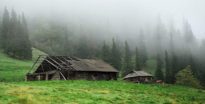 Карпаты ранним утром фото превью