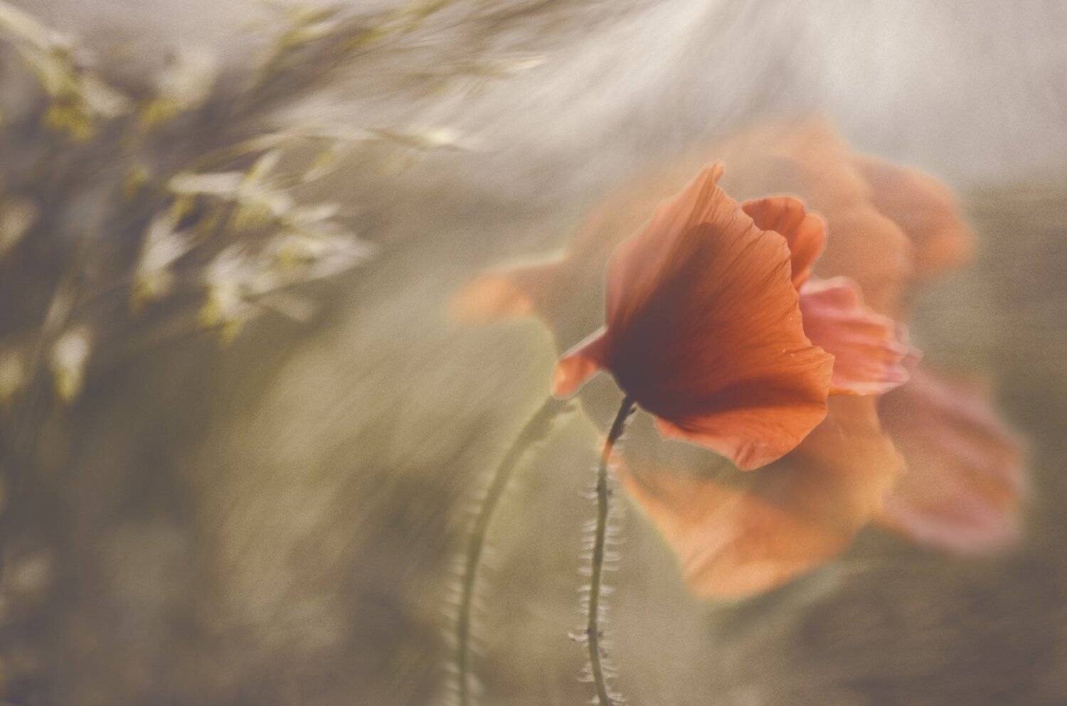 , Татьяна Аверина