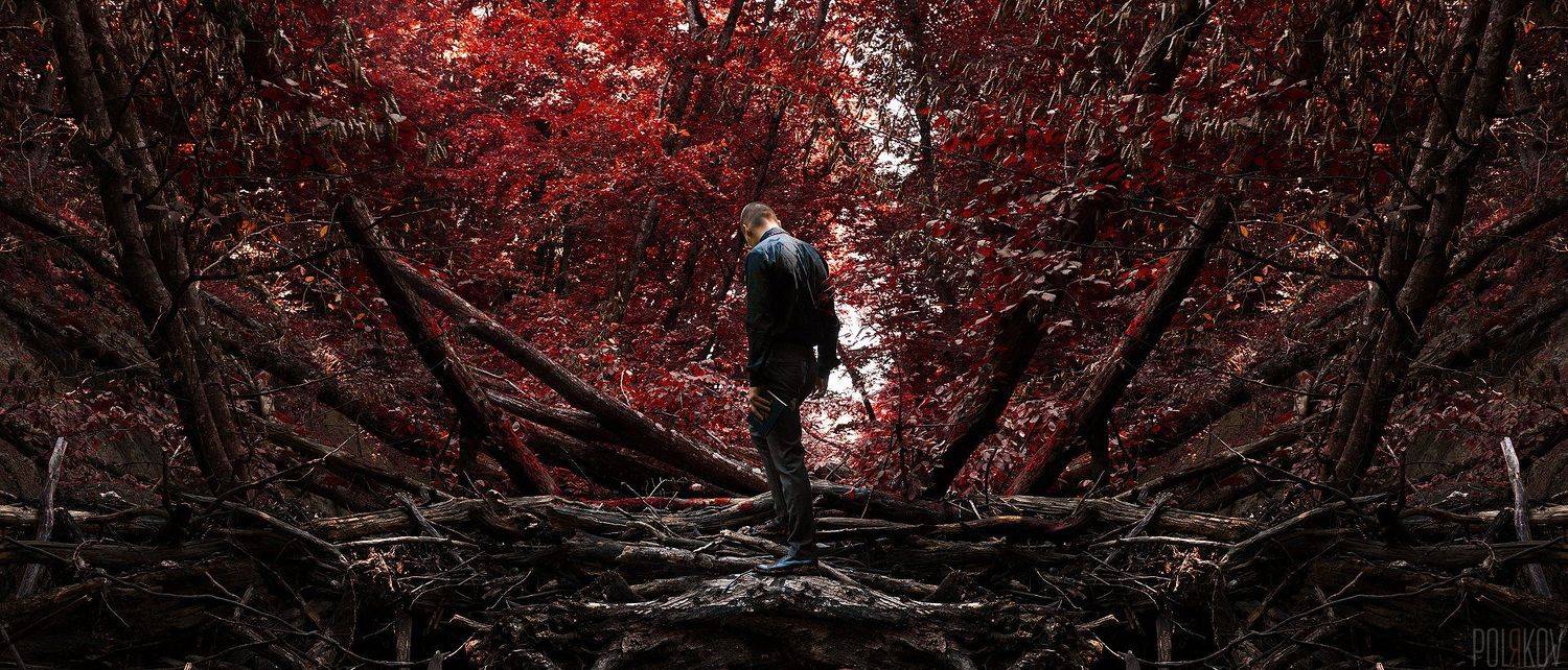 , Поляков Вадим Александрович