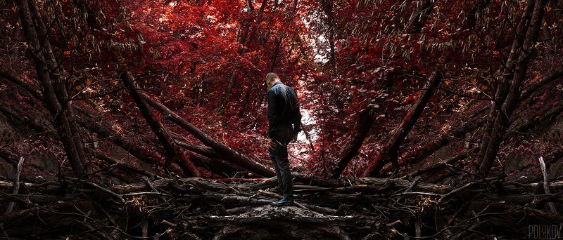 Alone фото превью