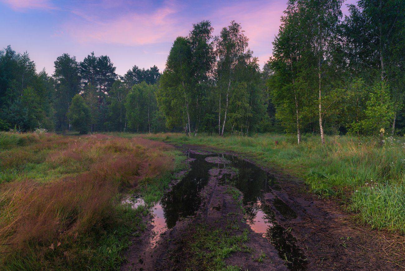 лето, июль, рассвет, Галанзовская Оксана