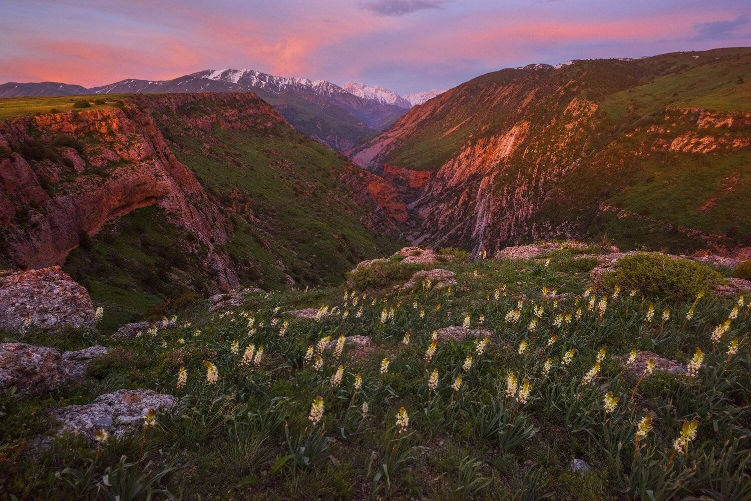 Аксу-Жабаглинский заповедник, Казахстан., Владимир Рябков