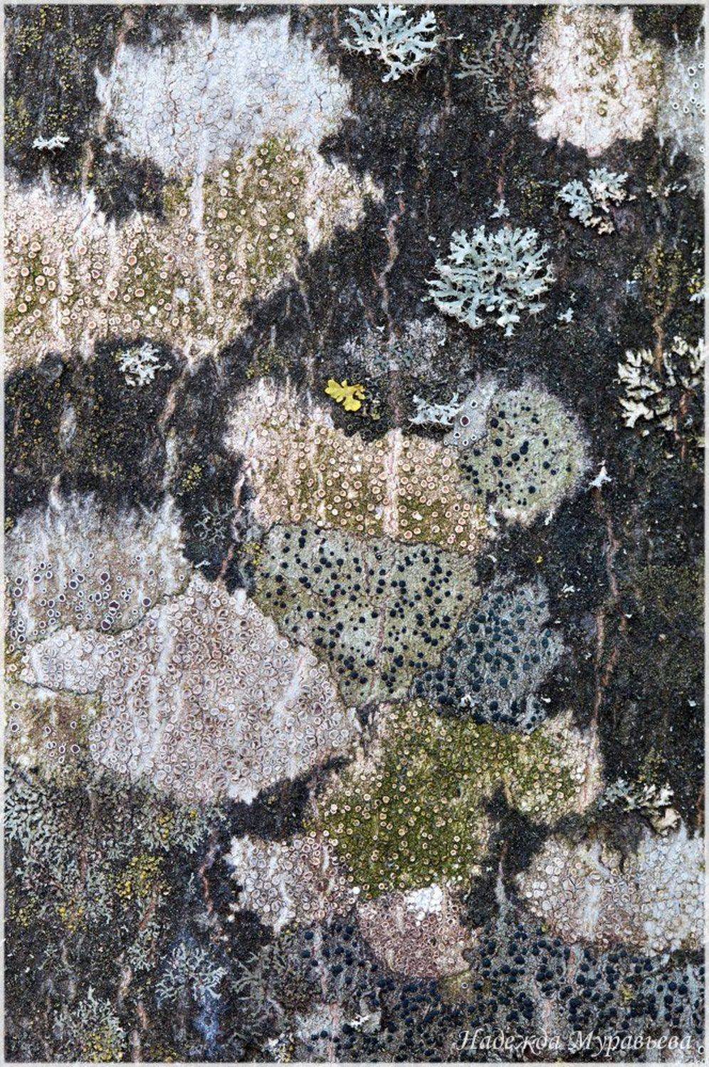 , Надежда Муравьёва