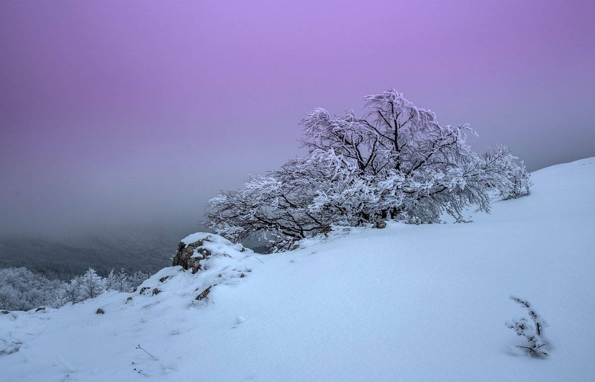 , Станислав Савицкий