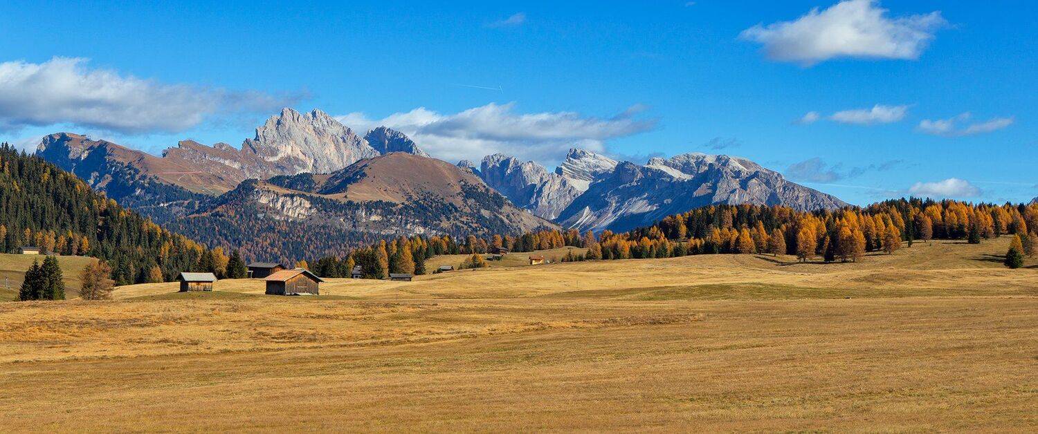 , Игорь Дубровский