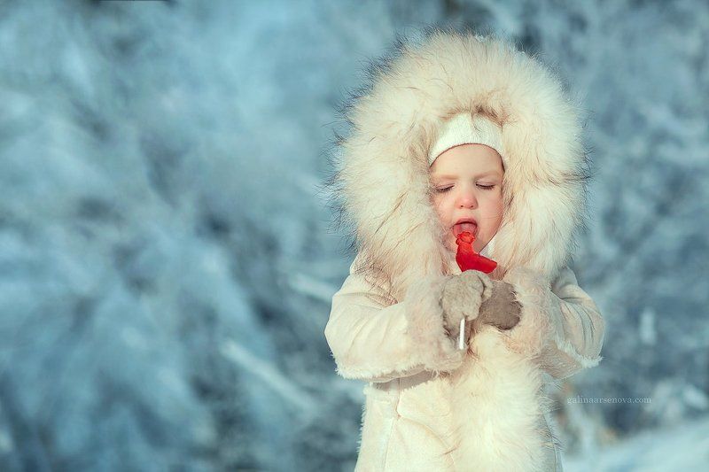 Морозко фото превью