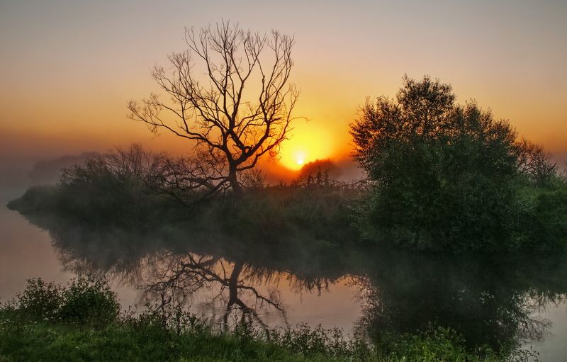Между ночью и днём... фото превью