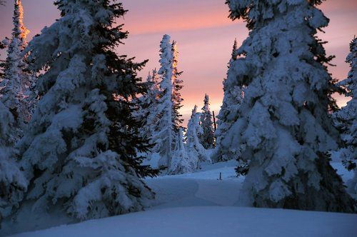 Pro розовый вечер на горе Зелёной