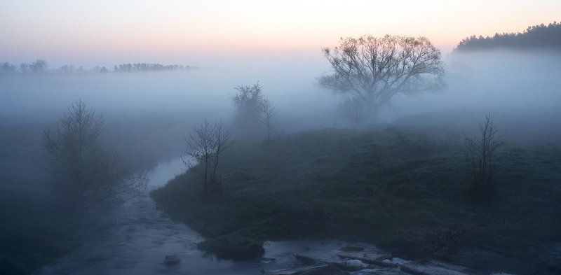 Утопая в тумане.... фото превью