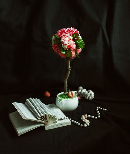 Розовый пион