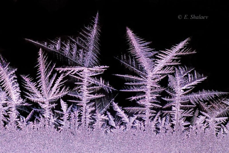 морозные узоры  фото превью