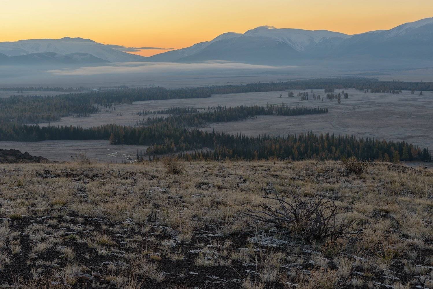 рассвет, алтай, горы, степь, Dmitriy  Baginskiy