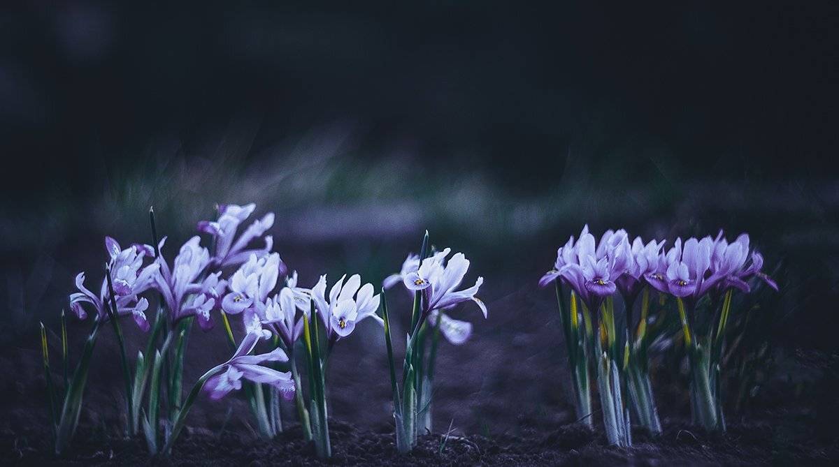 , Татьяна Аверина