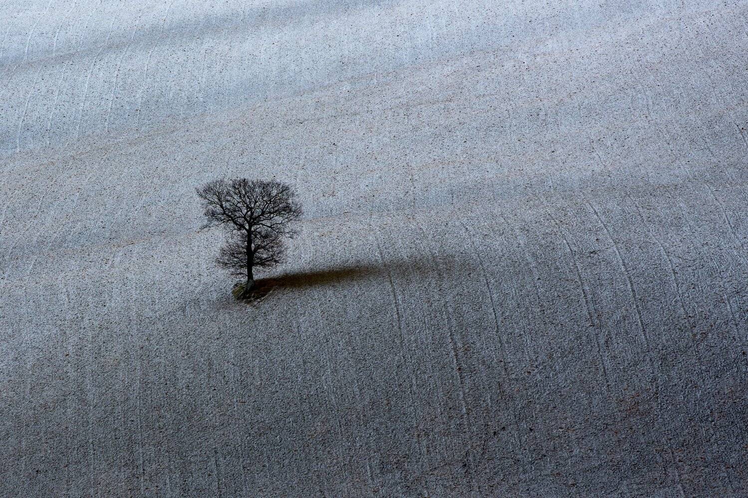 , Лядимов Дмитрий