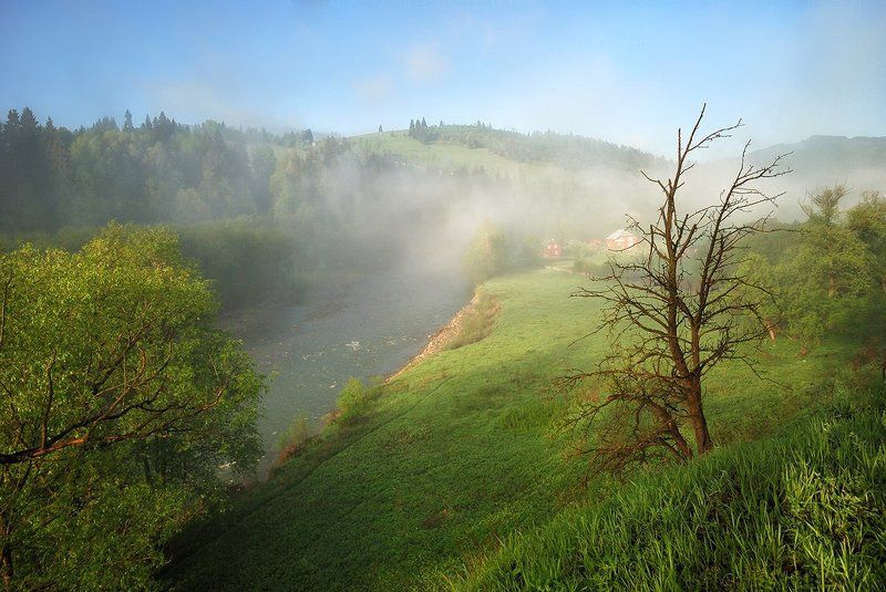 карпаты, камни, река, d80 Утренний туман над Белым Черемошем фото превью