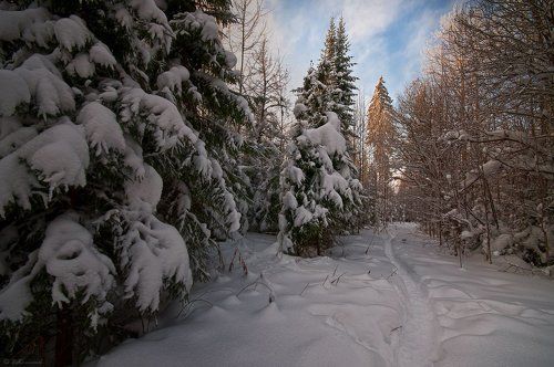 На пути в сказку...