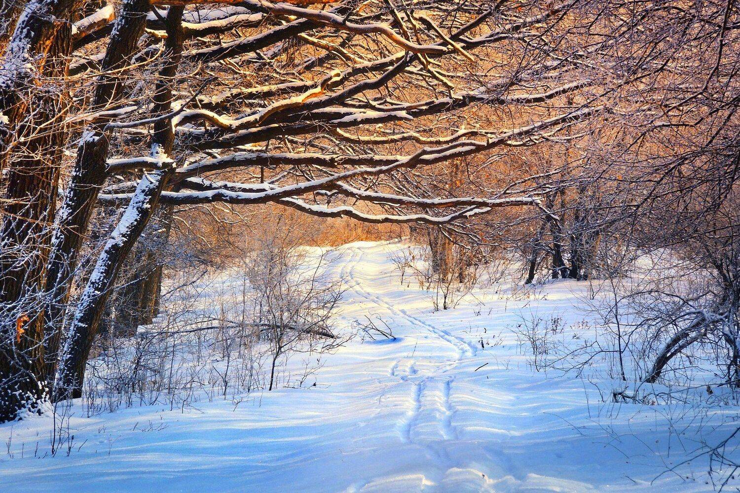 , Mihalych