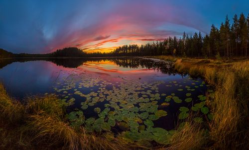 Осенние сумерки