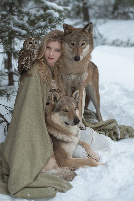 photo, wolf, owl, girl, dream * фото превью