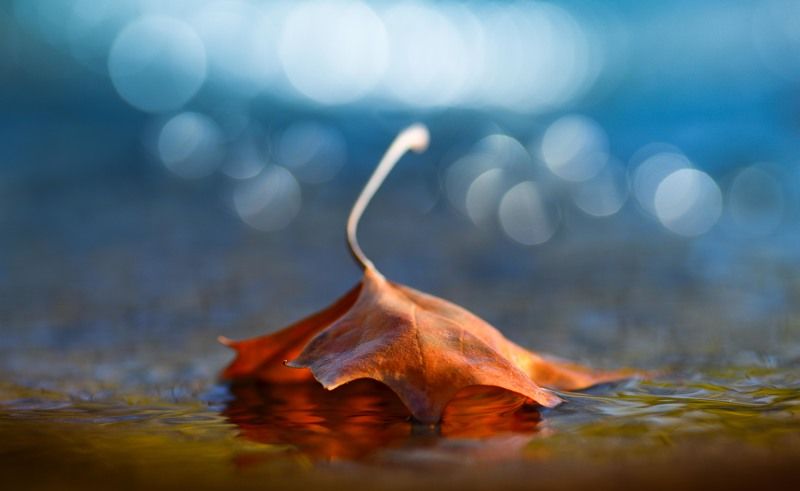 Речные отражения фото превью