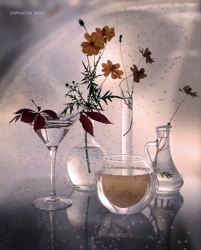 Прозрачная осень 4 фото превью