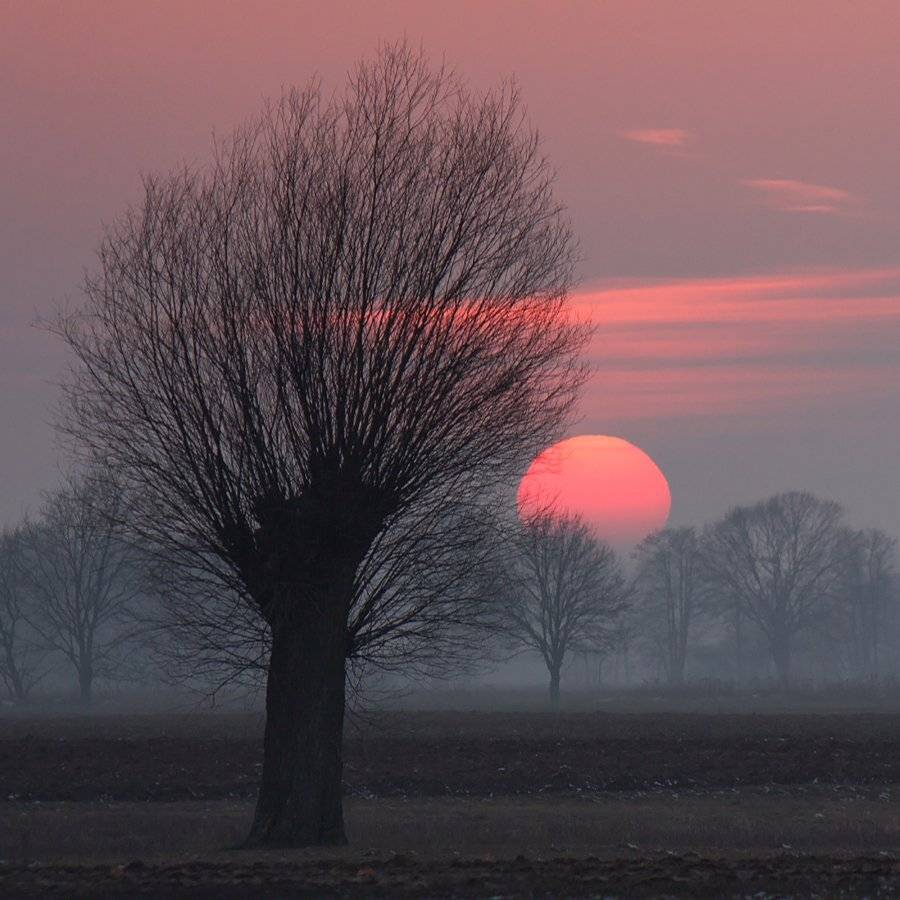 , Pawel Plucinski