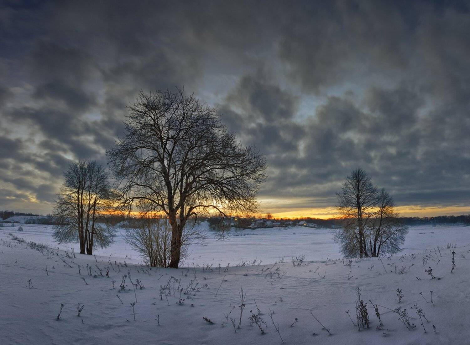 , Николай Андреев