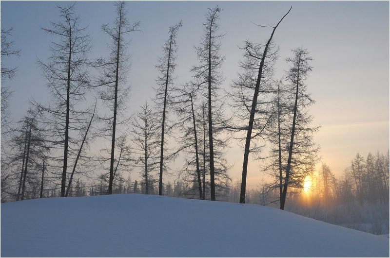 Долгожданное солнце фото превью