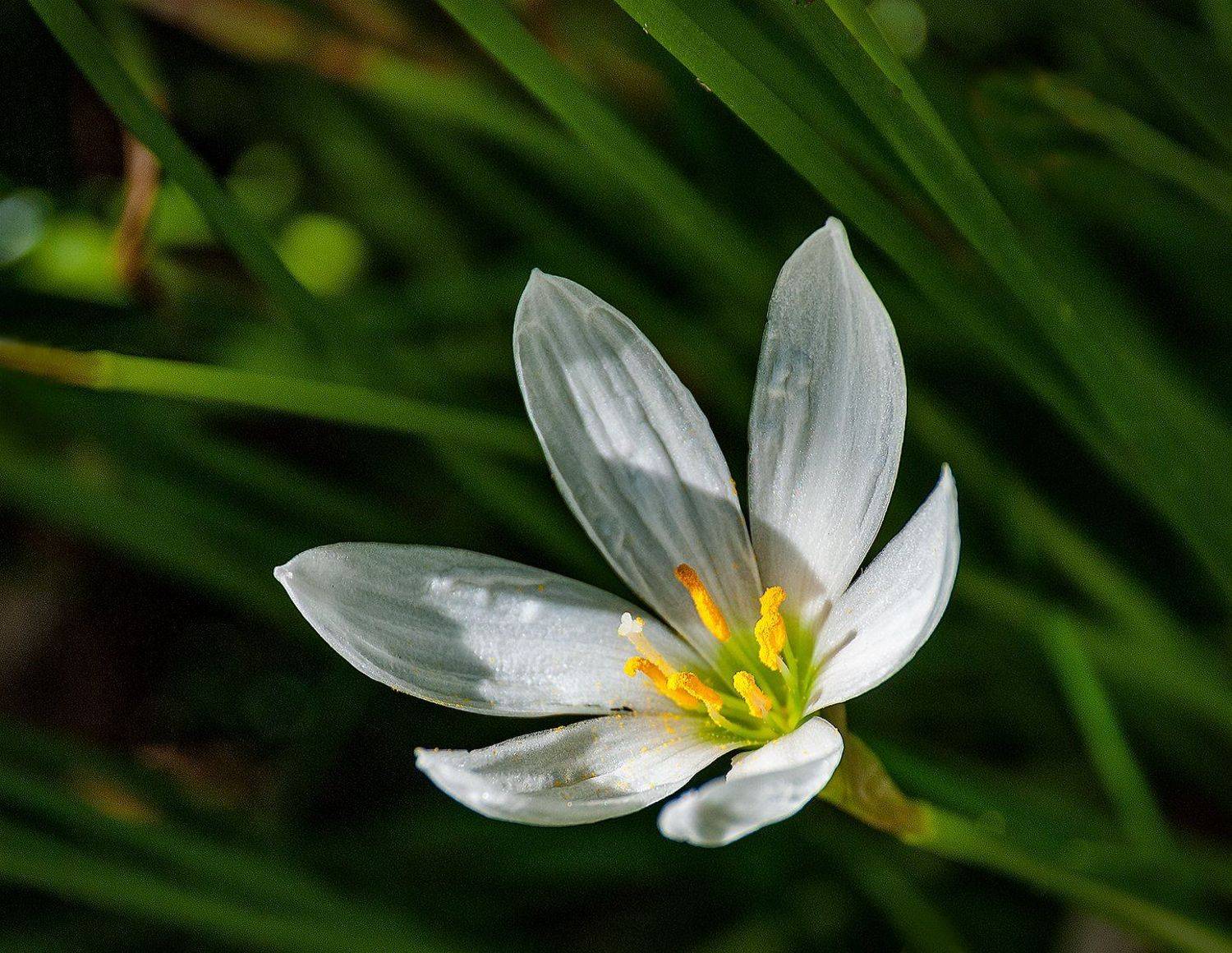 , Владимир Гамаюнов
