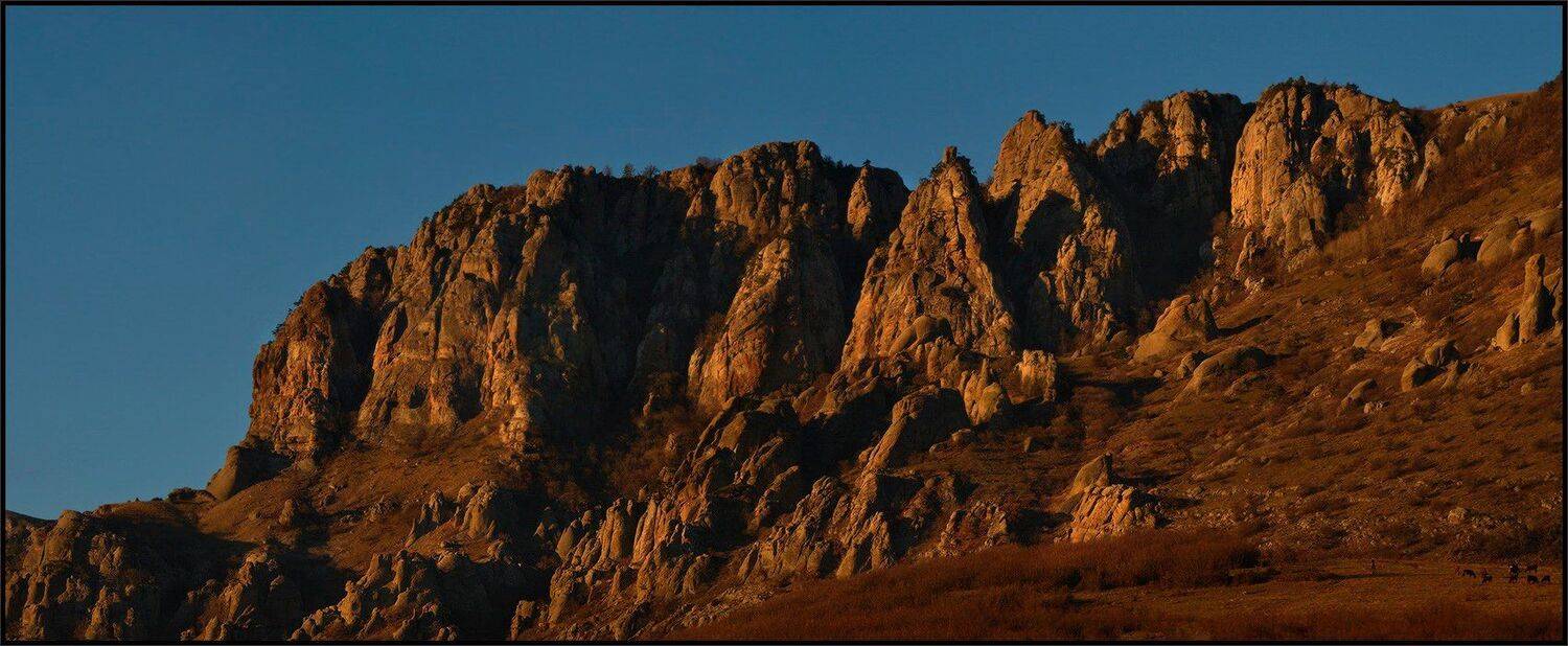 , Владимир Метцгер