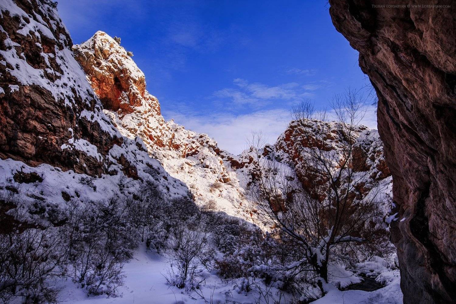 , Тигран Лорсабян