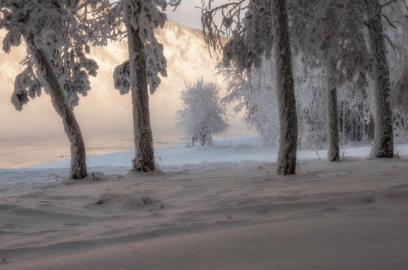 Мягкие краски зимы. фото превью