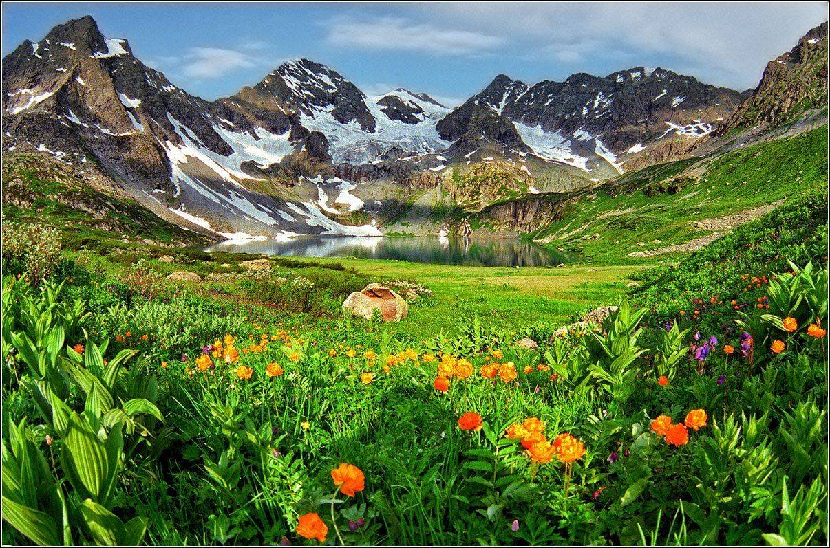 алтай, катунский хр.,оз. в.осиновское, АНАТОЛИЙ ДОВЫДЕНКО