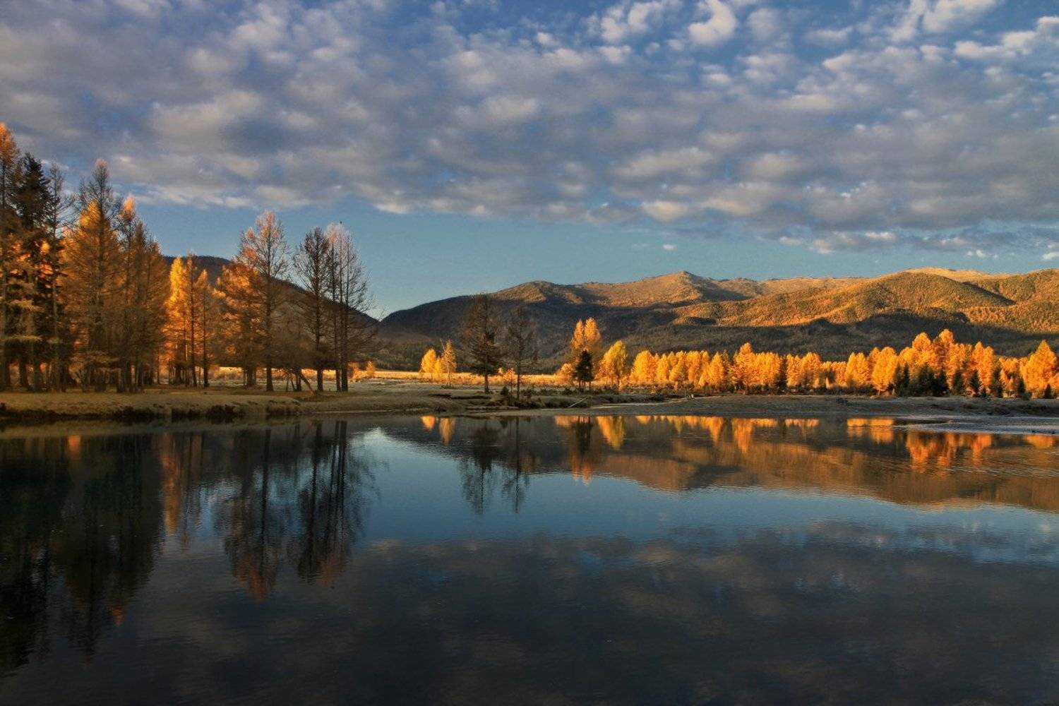 алтай, горный алтай, джазатор, беляши, утро, осень, Галина Хвостенко