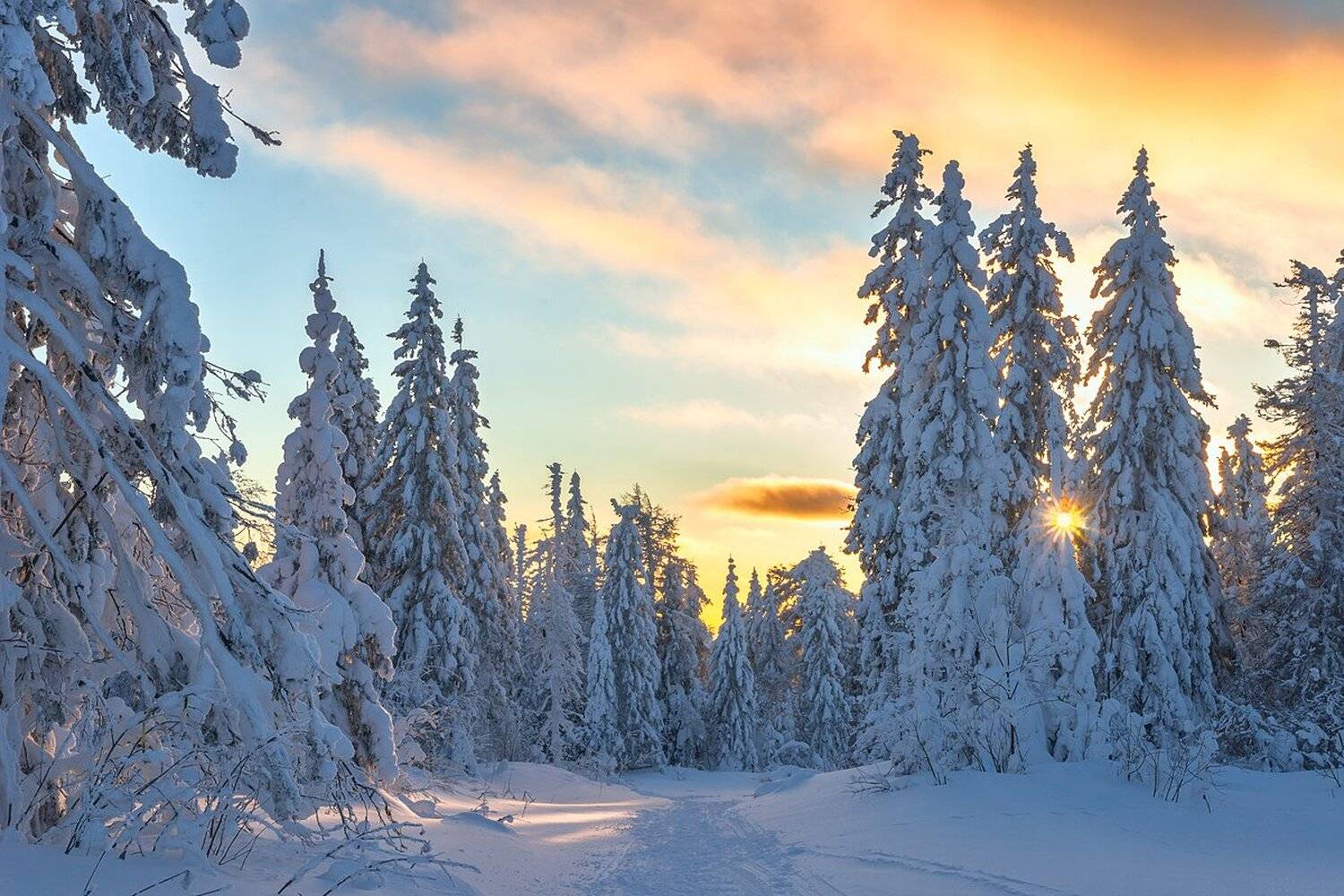 , Михаил Туркеев