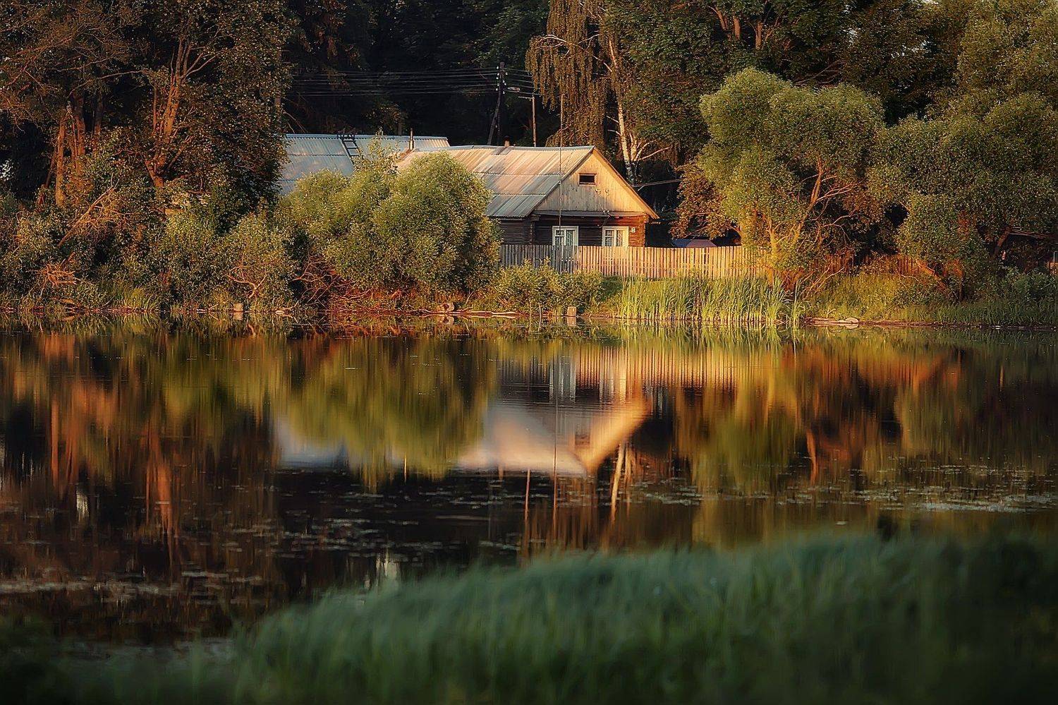 , Юлия Войнич