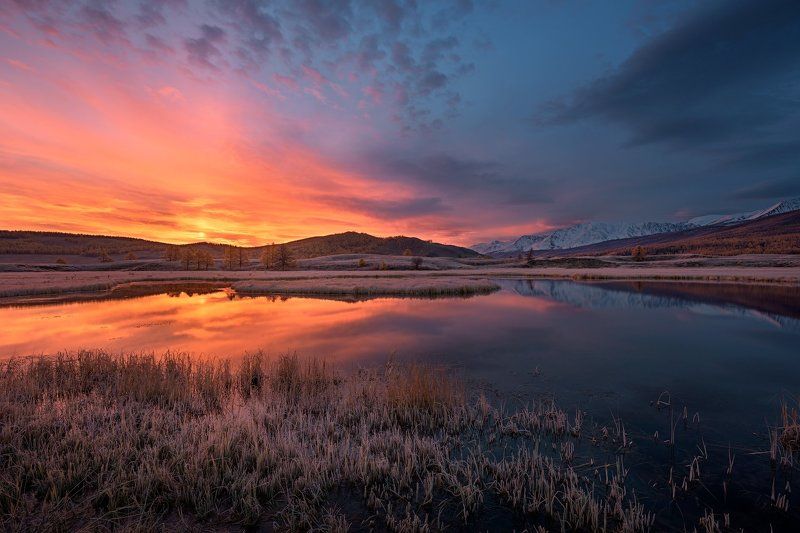 утро в Курайской степи фото превью