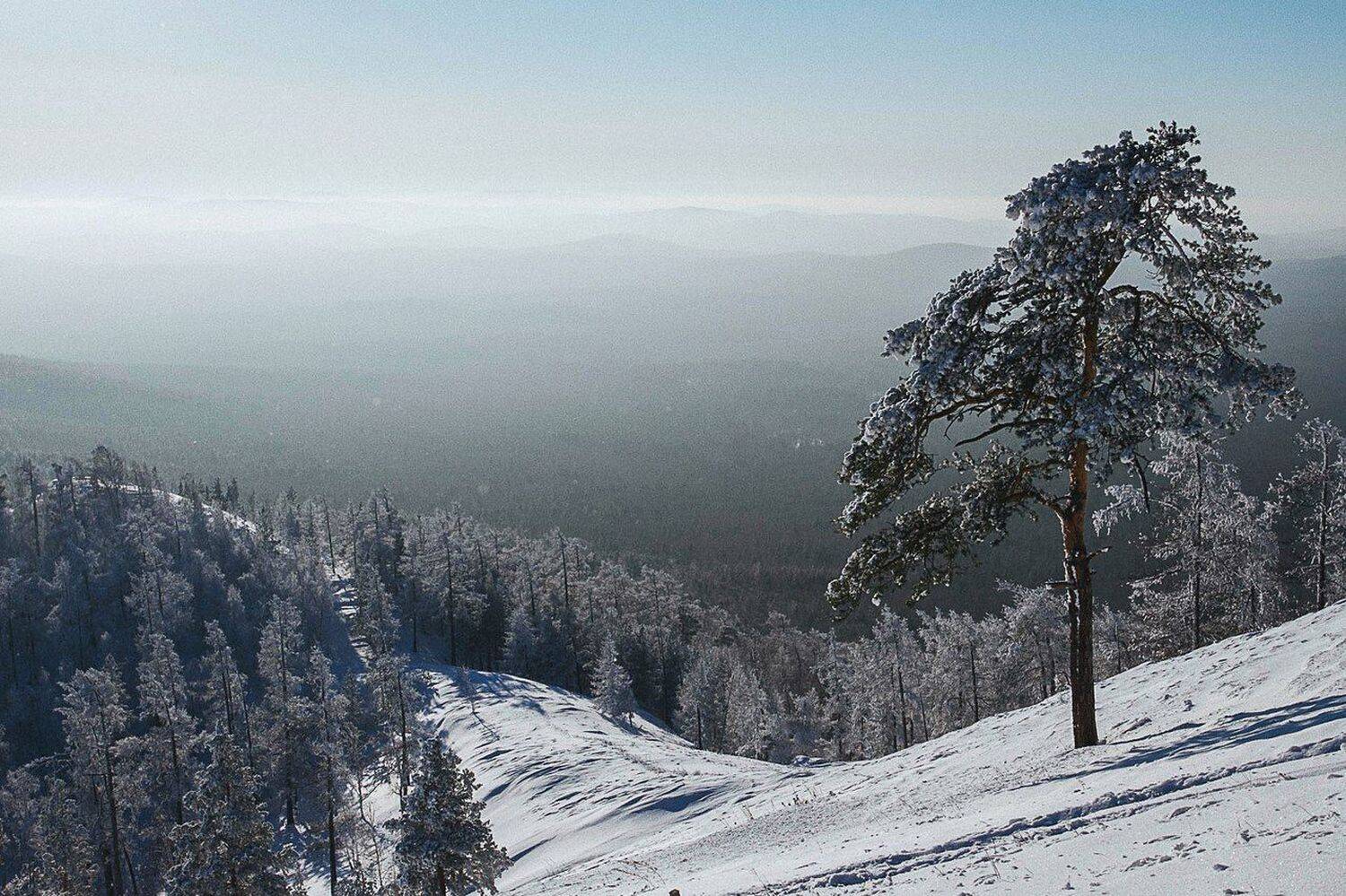 , Мехренин Кирилл
