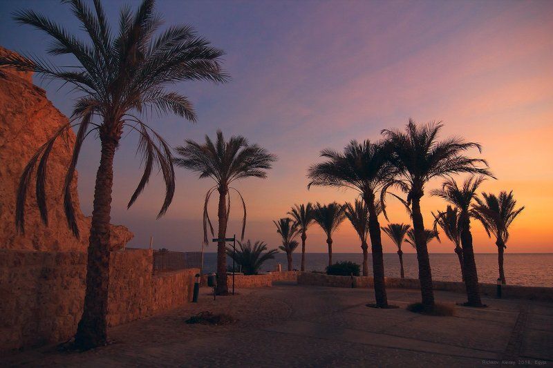 Египет, пальмы, свет, солнце, море, закат. вечер,  Египетские краски фото превью