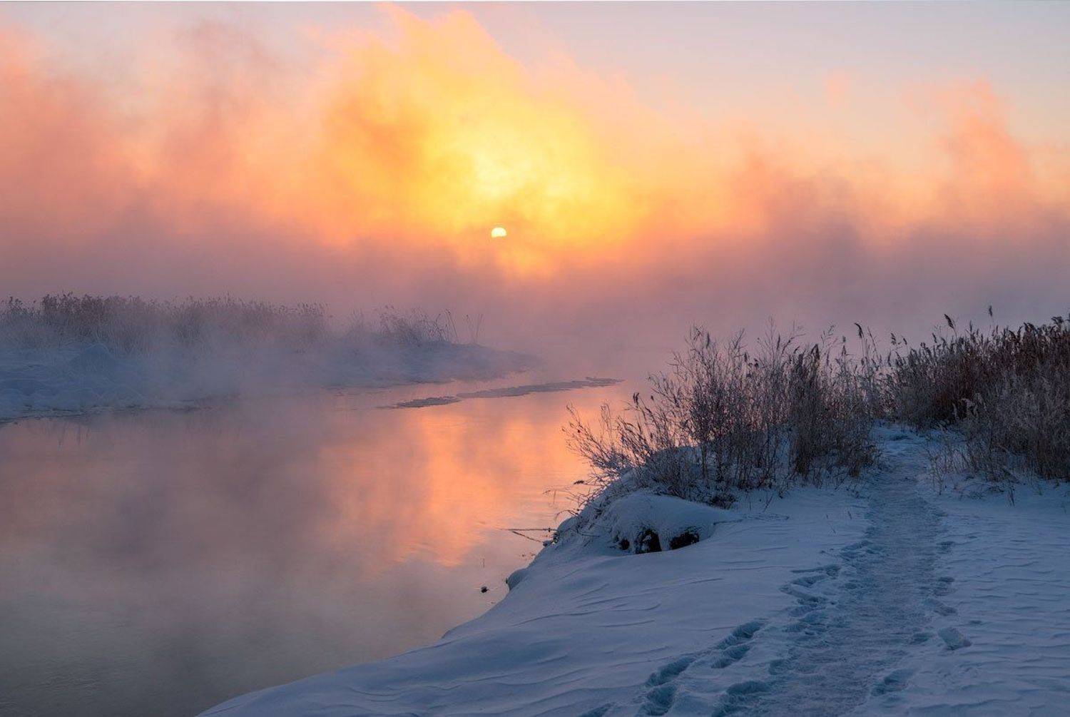 , Сергей Брагин