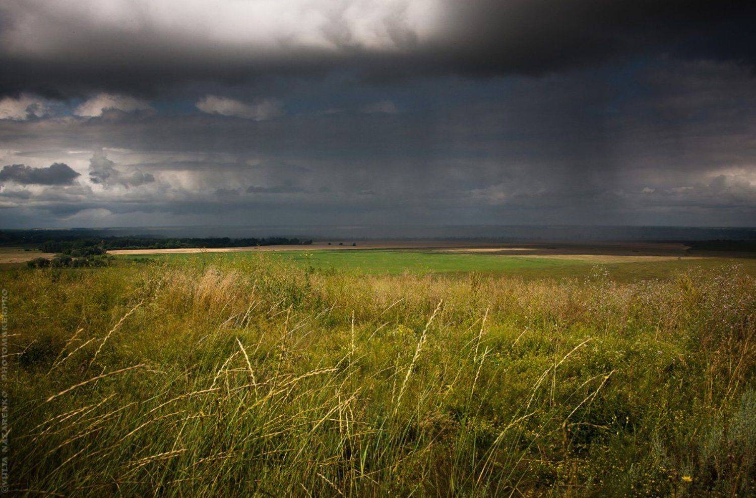 пейзаж, дивногорье, дон, дивы, гроза, лето, свет, дождь, простор, поля, даль, ливень, облака, небо, колосья, Юлия Назаренко