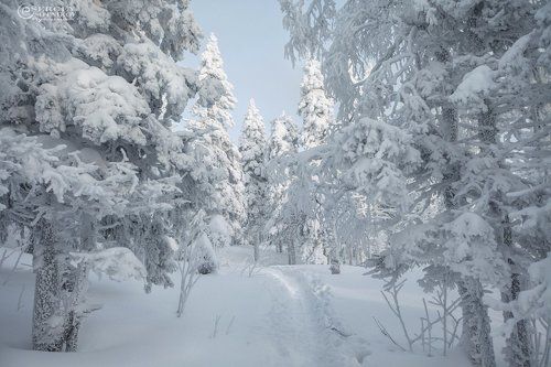 Белые дороги