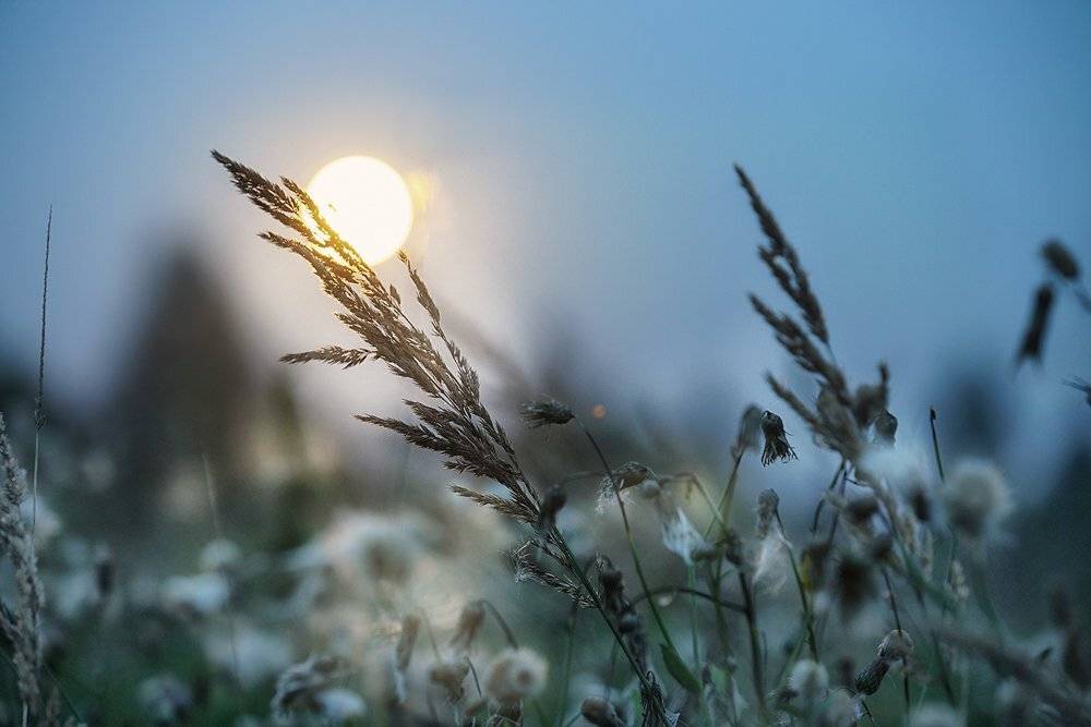 , Владимир Крупочкин