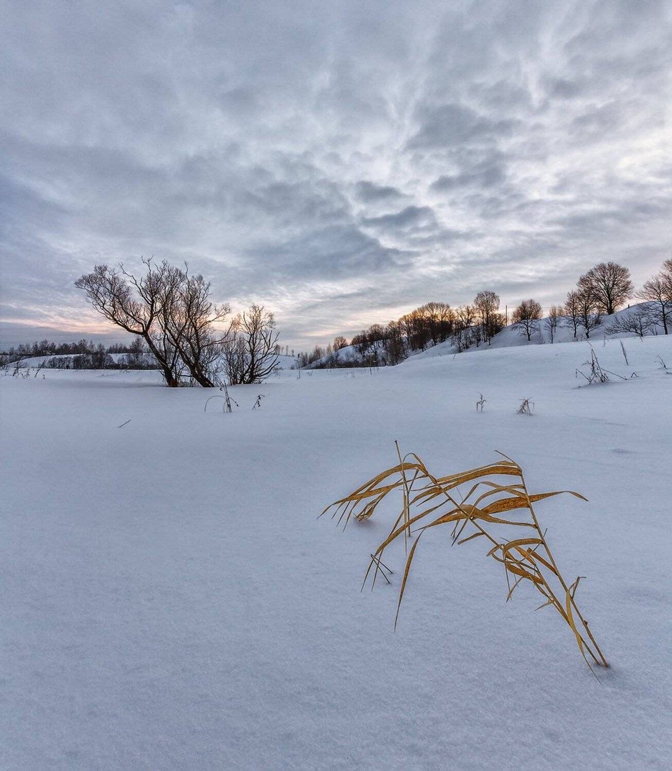 , Николай Андреев