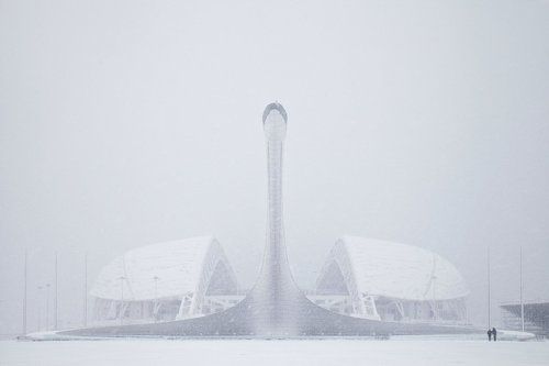 Снежный лебедь