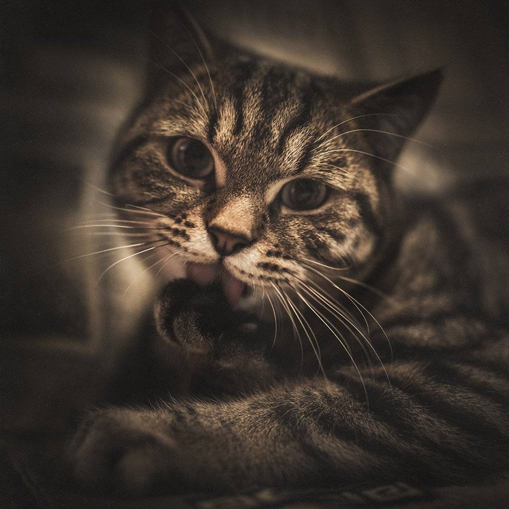 , Рублёв Дмитрий