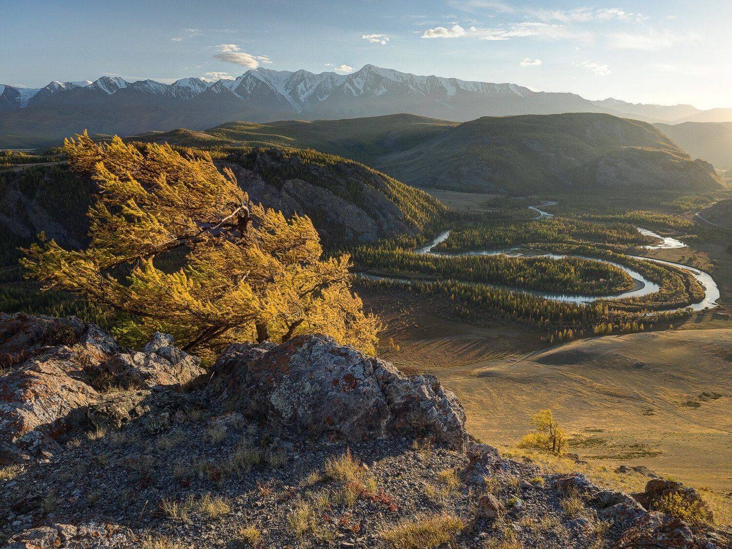 , Лещёнок Александр