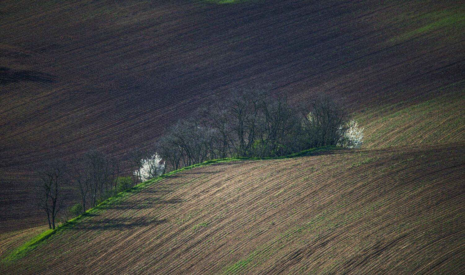 южная моравия, Ирина