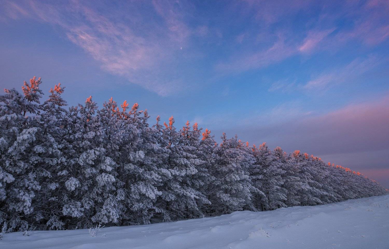 зима, снег, мороз, закат, деревья, Александр Макеев