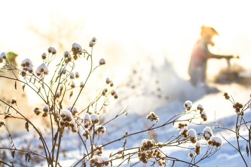 Снежный беспредел фото превью